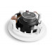 Amate Audio CS6FR